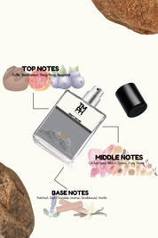 Night Orchid - Inspired perfume | TMPerfumehouse