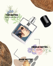 For Dreamer - Inspired by Ve*sace The Dreamer