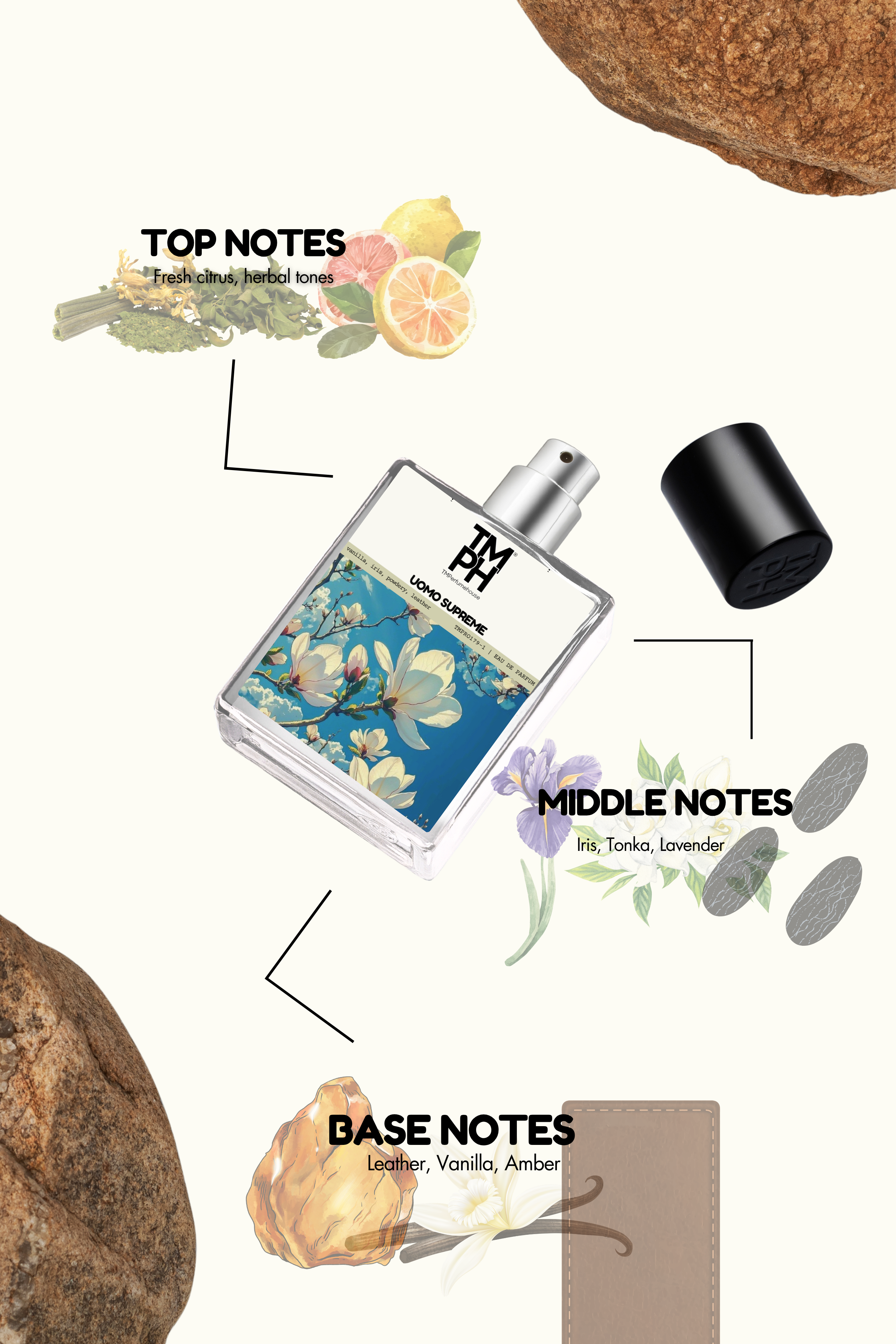 Uomo Supreme - Inspired Perfume | TMPerfumehouse