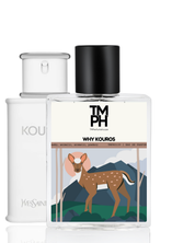 Why Kouros - inspired by Yv*&nbsp;Saint Laurent Kouros