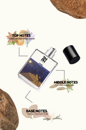 G Oudh - DG Inspired perfume | TMPerfumehouse