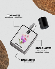 Oud  bombshell