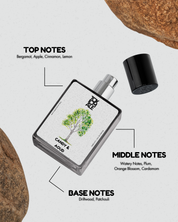 Candy &  Aoud