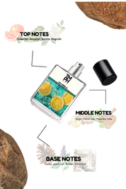 Sos Vibrelle - Inspired Perfume | TMPerfumehouse