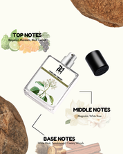 Musk and Therapy - Inspired by In*tio Musk Therapy