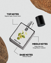 Aventus &  absolute