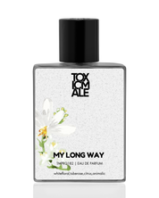 My long way