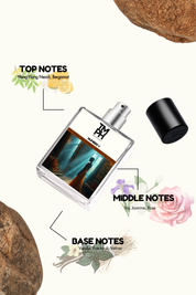 Number V - DG Inspired Perfume | TMPerfumehouse