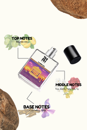R Amber Oud - Inspired perfume | TMPerfumehouse