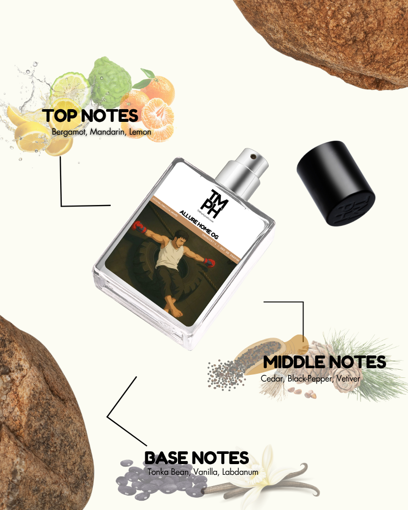 Alurey Home - Inspired perfume | TMPerfumehouse