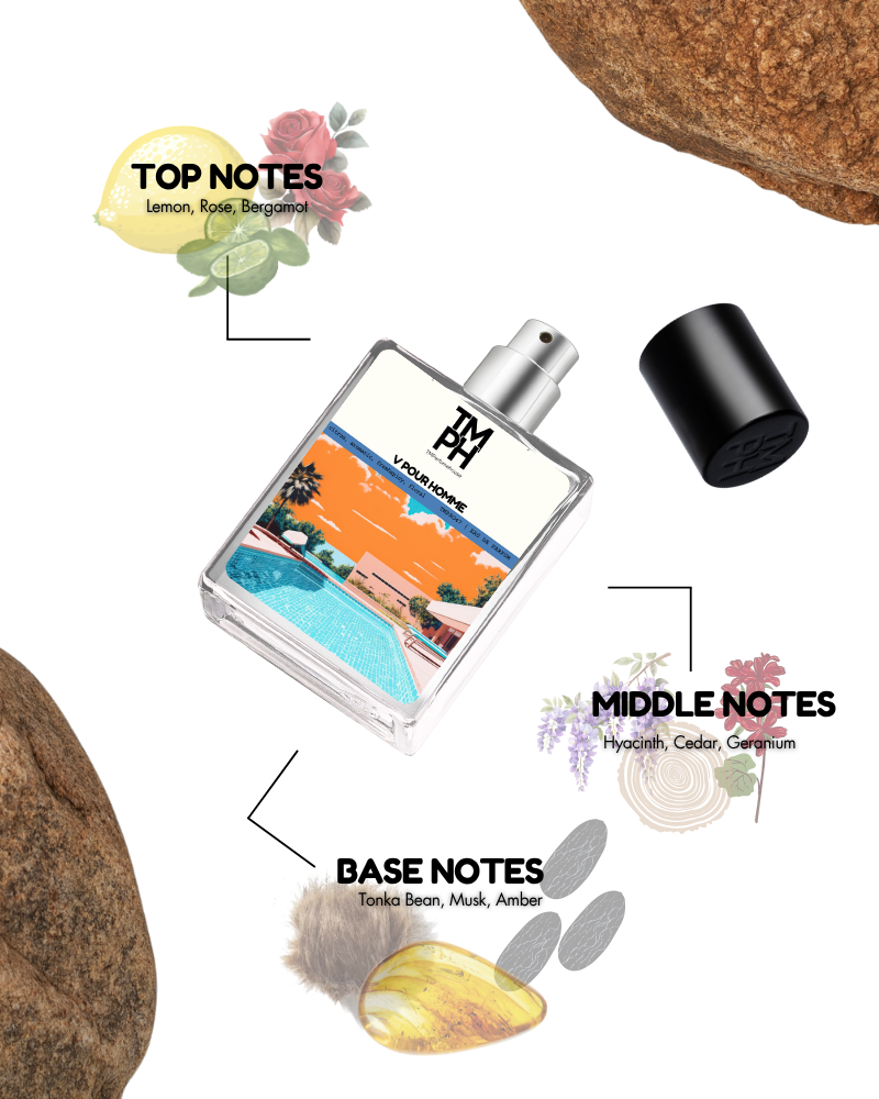 V Pour Homme - Inspired by Ve*sace Pour Homme