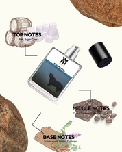 Black Phantom – Inspired by Kilian Black Phantom | Dark, Gourmand & Seductive