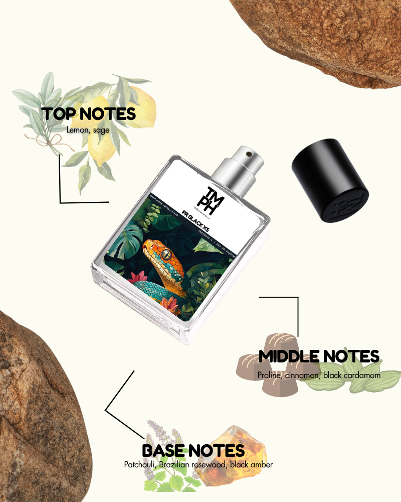 Pr Black xs -Inspired by P*co rabane +13