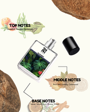 Mr. Be Berry - Inspired by Bu*berry Mr. Burberry