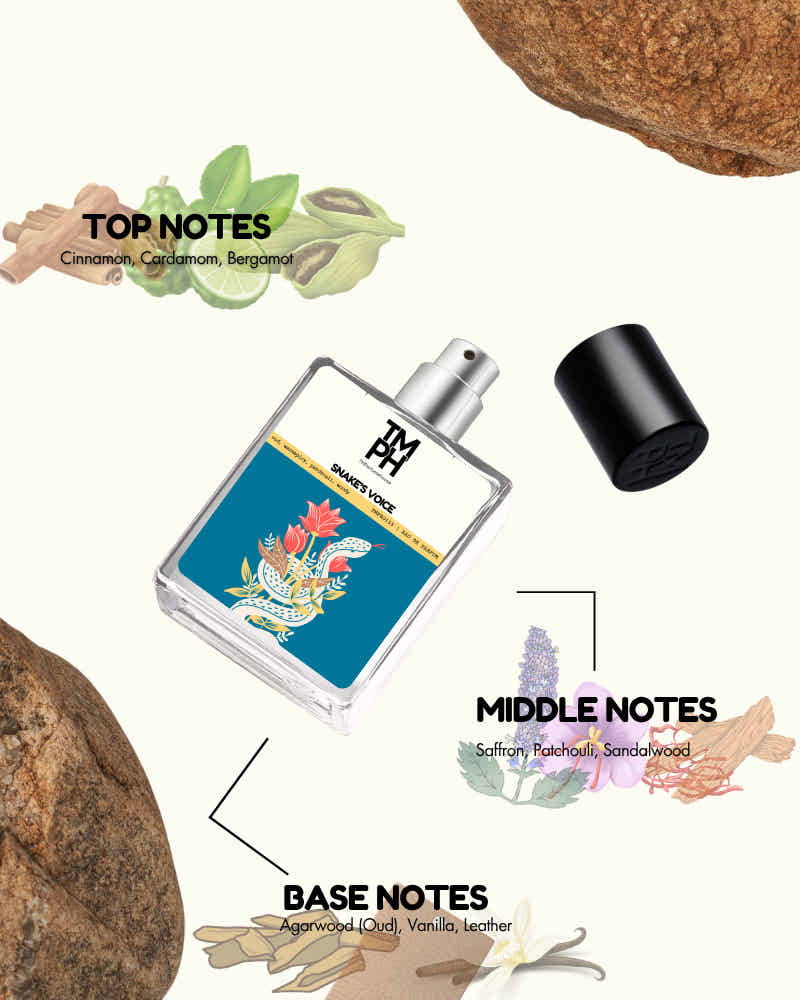 Snake Whisper -  Inspired perfume | TMPerfumehouse