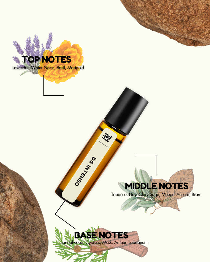 DoTERRA Oregano essential oil bottle with botanical elements and notes on a white background