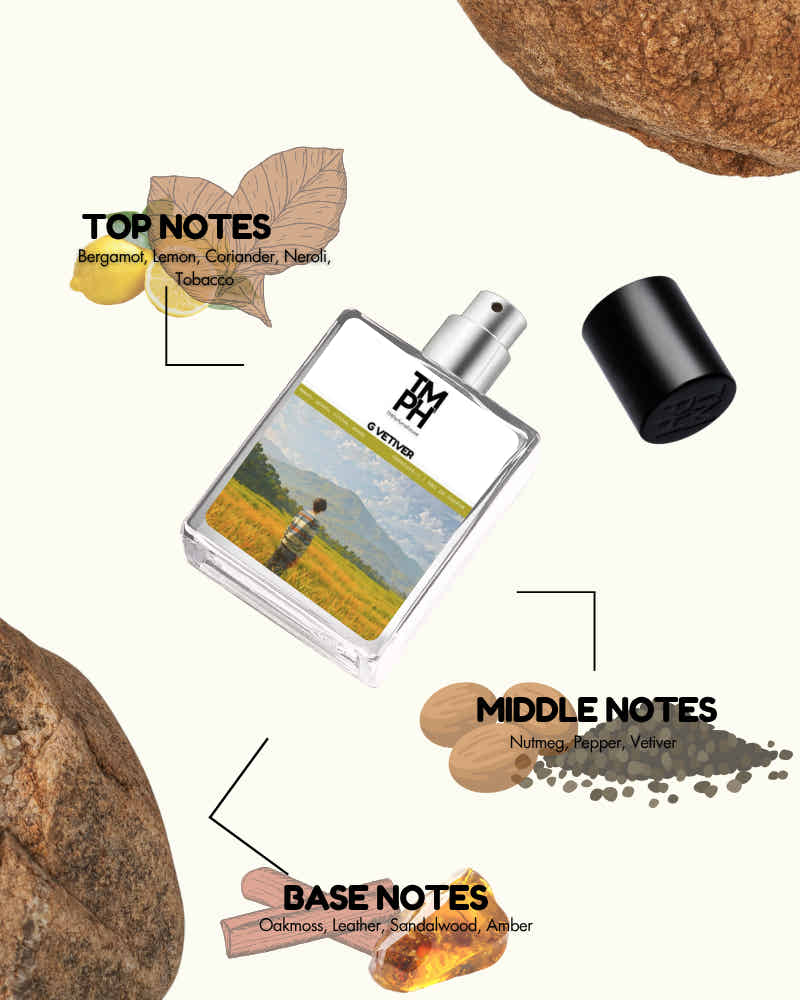 Grande Vetiver – Inspired perfume | TMPerfumehouse