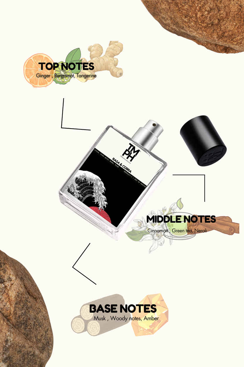 rasa & cobra - Inspired Perfume | TMPerfumehouse