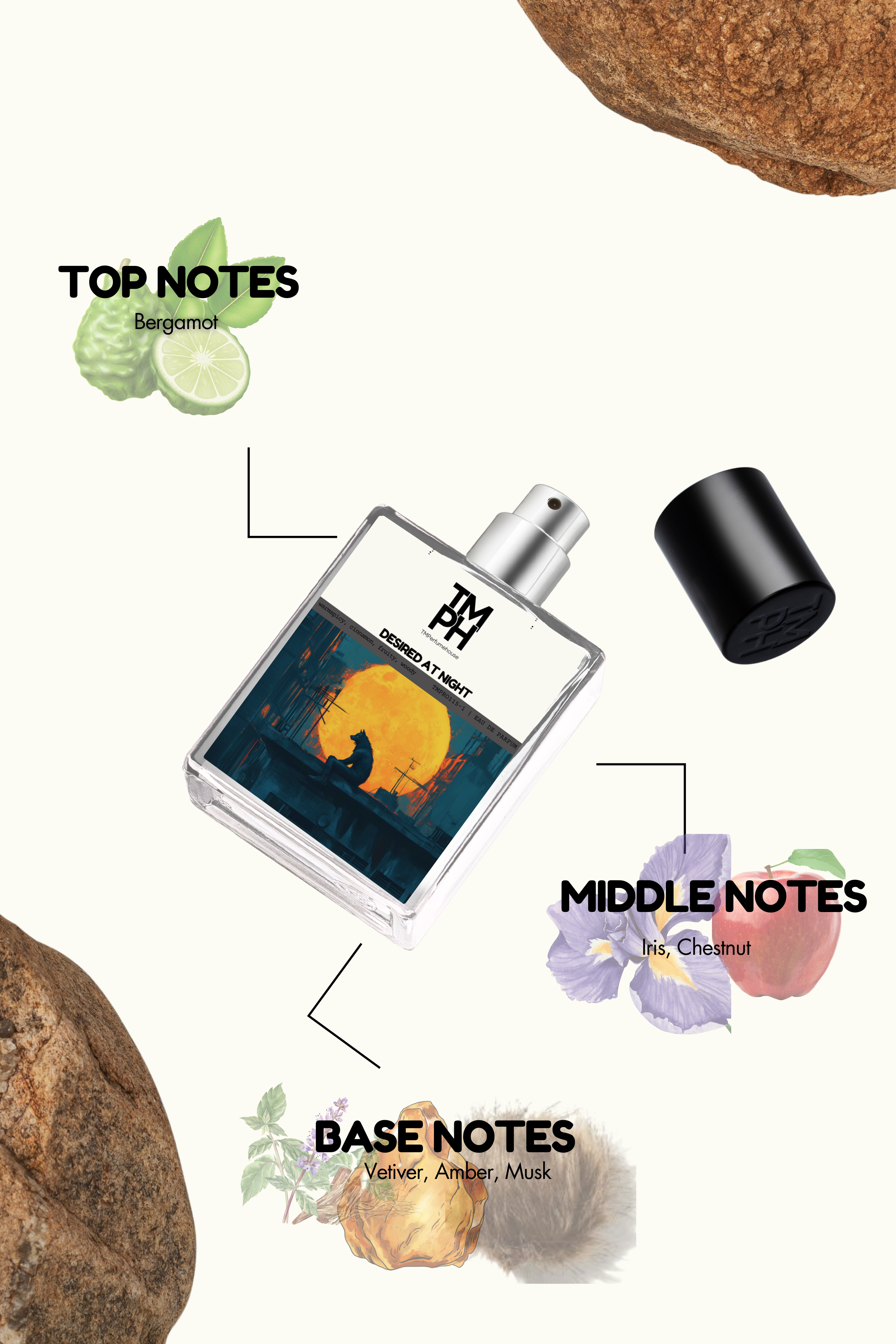 Desired at night -Inspired perfume | TMPerfumehouse