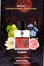 Toiboy - DG Inspired perfume | TMPerfumehouse