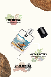 Why -  Inspired perfume | TMPerfumehouse