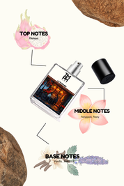 latin bamba - Inspired Perfume | TMPerfumehouse