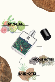 urban green - Inspired perfume | TMPerfumehouse