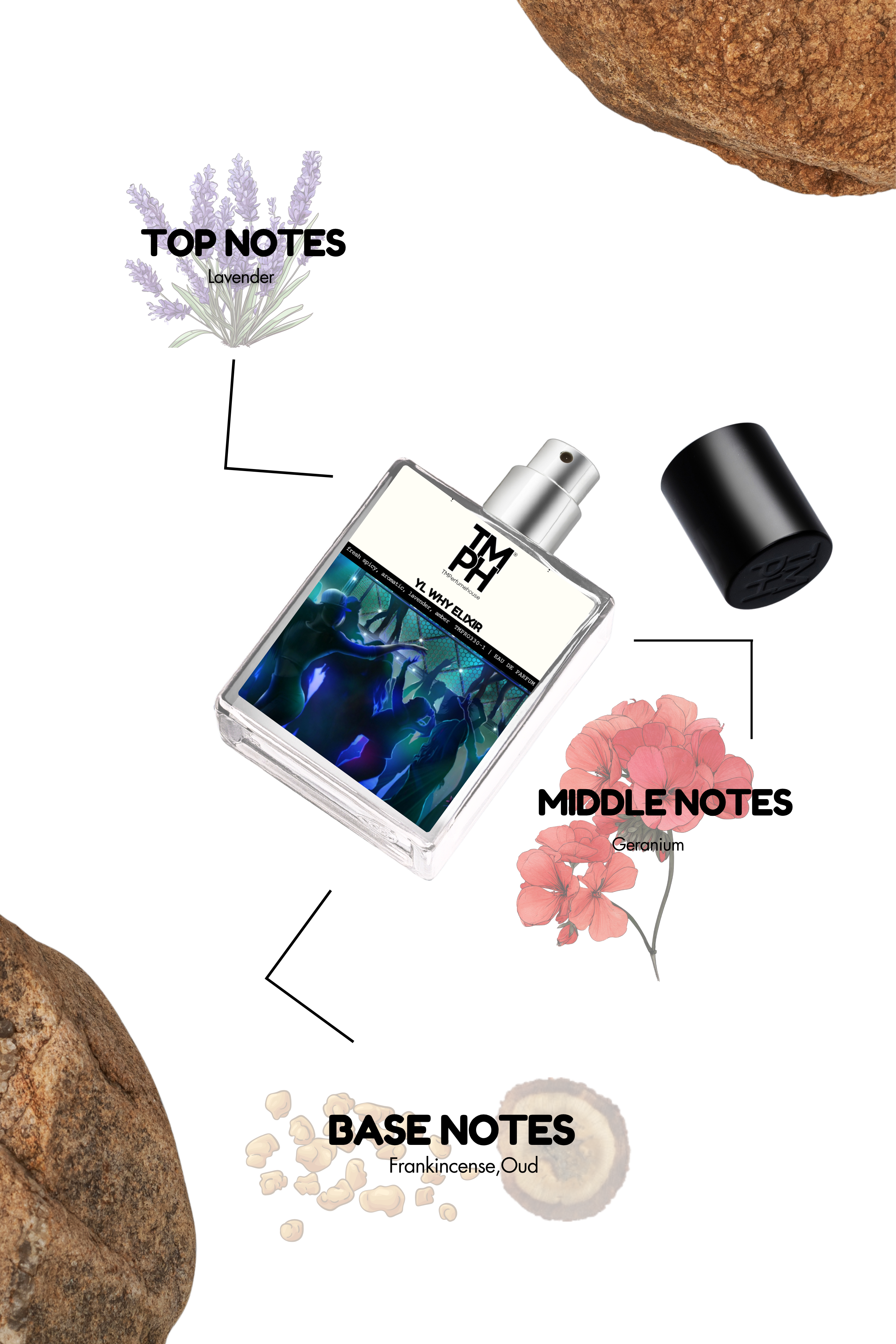 YL Why Elixir - Inspired perfume | TMPerfumehouse