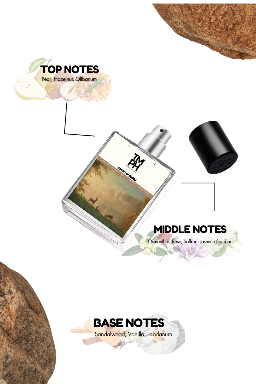 Amou Guiding - LG Inspired perfume | TMPerfumehouse