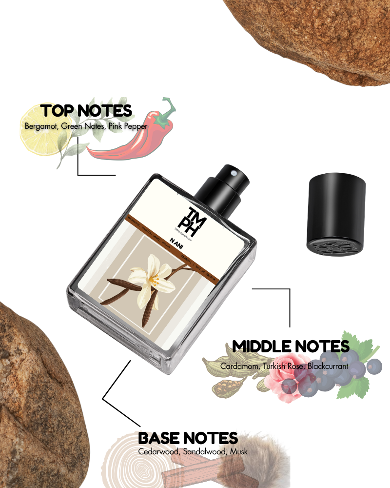 Ani - Inspired by Ni*hane Ani