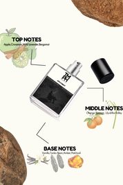 Afn 9 Night  - Inspired Perfume | TMPerfumehouse