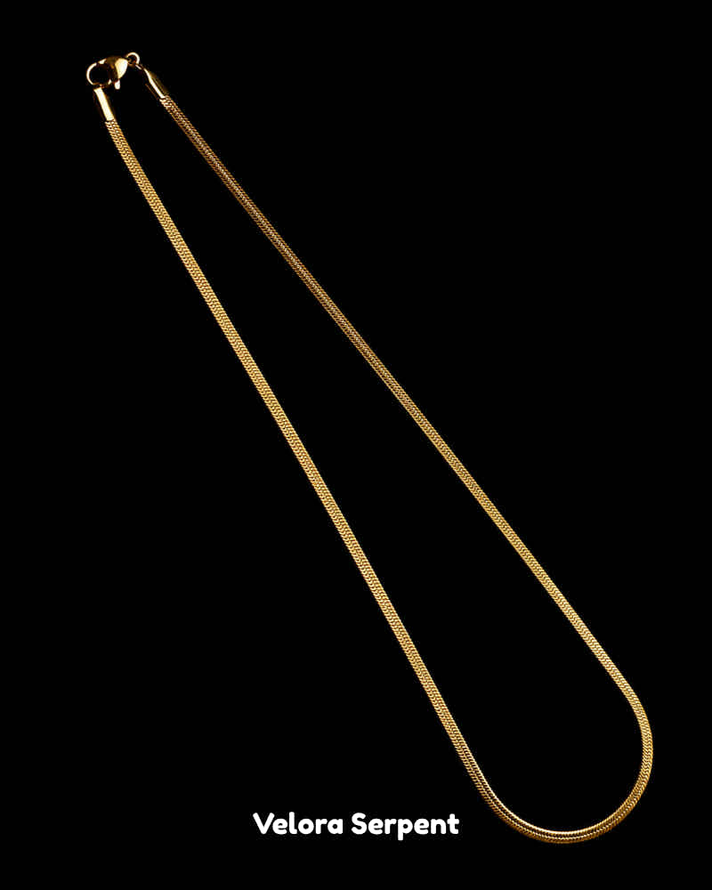 Chain 11 | Solenne Gold  Chain