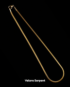 Chain 11 | Solenne Gold  Chain