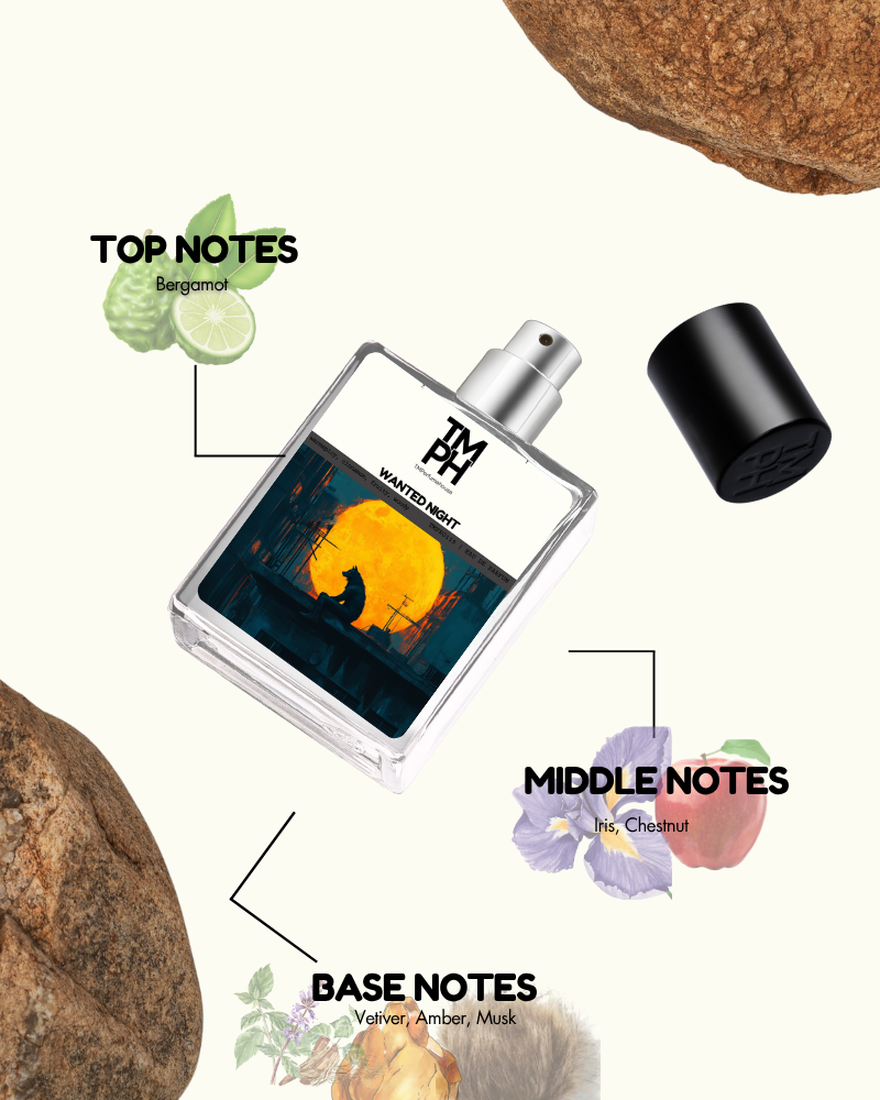 Wanted Night - Inspired by Az*aro Wanted by Night