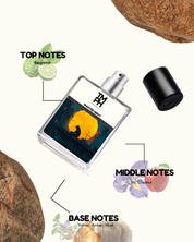 Wanted Night - Inspired by Az*aro Wanted by Night