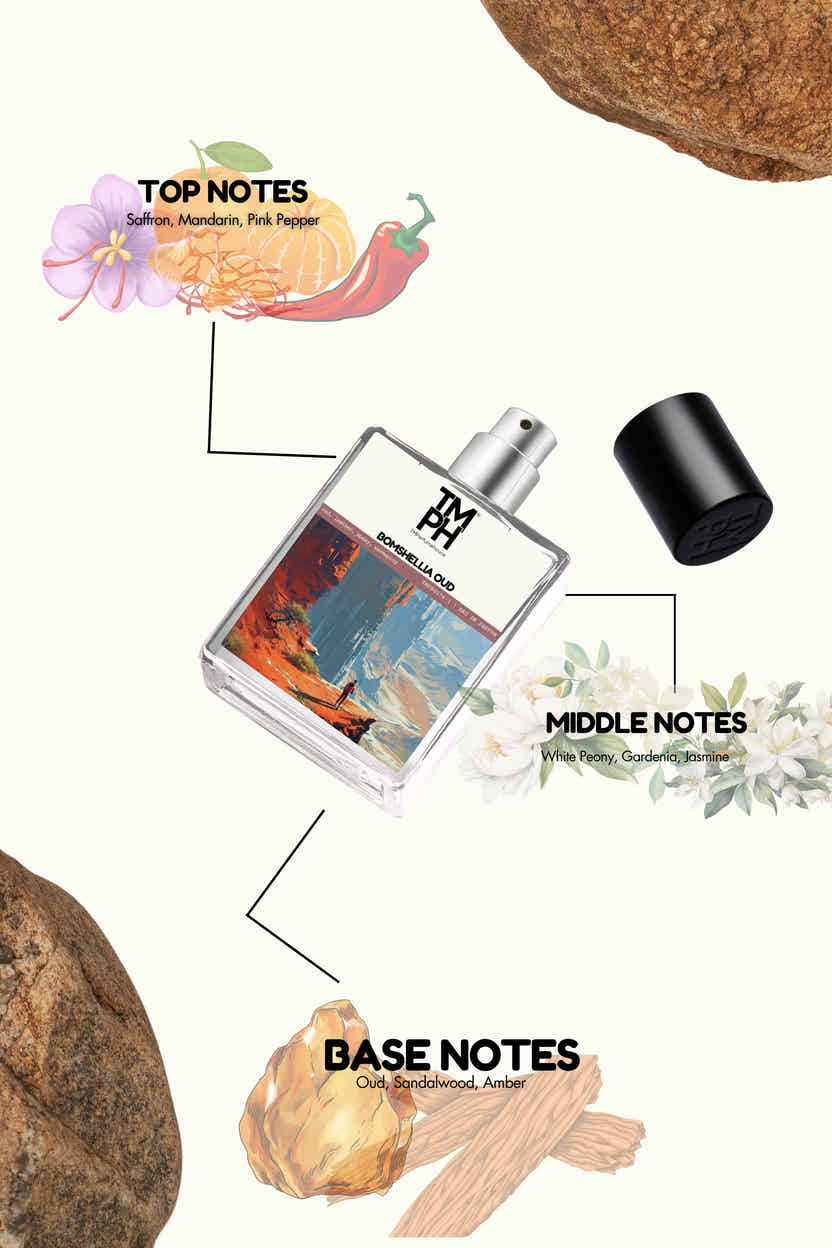 Bomshellia Oud - DG Inspired perfume | TMPerfumehouse