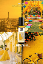 Cedrat bose - inspired Attar | TMPerfumehouse