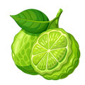 Bergamot