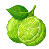 Bergamot