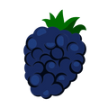 Blackberry