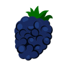 Blackberry