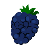 Blackberry