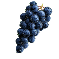Blackcurrant
