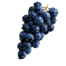 Blackcurrant