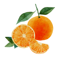 Blood Mandarin
