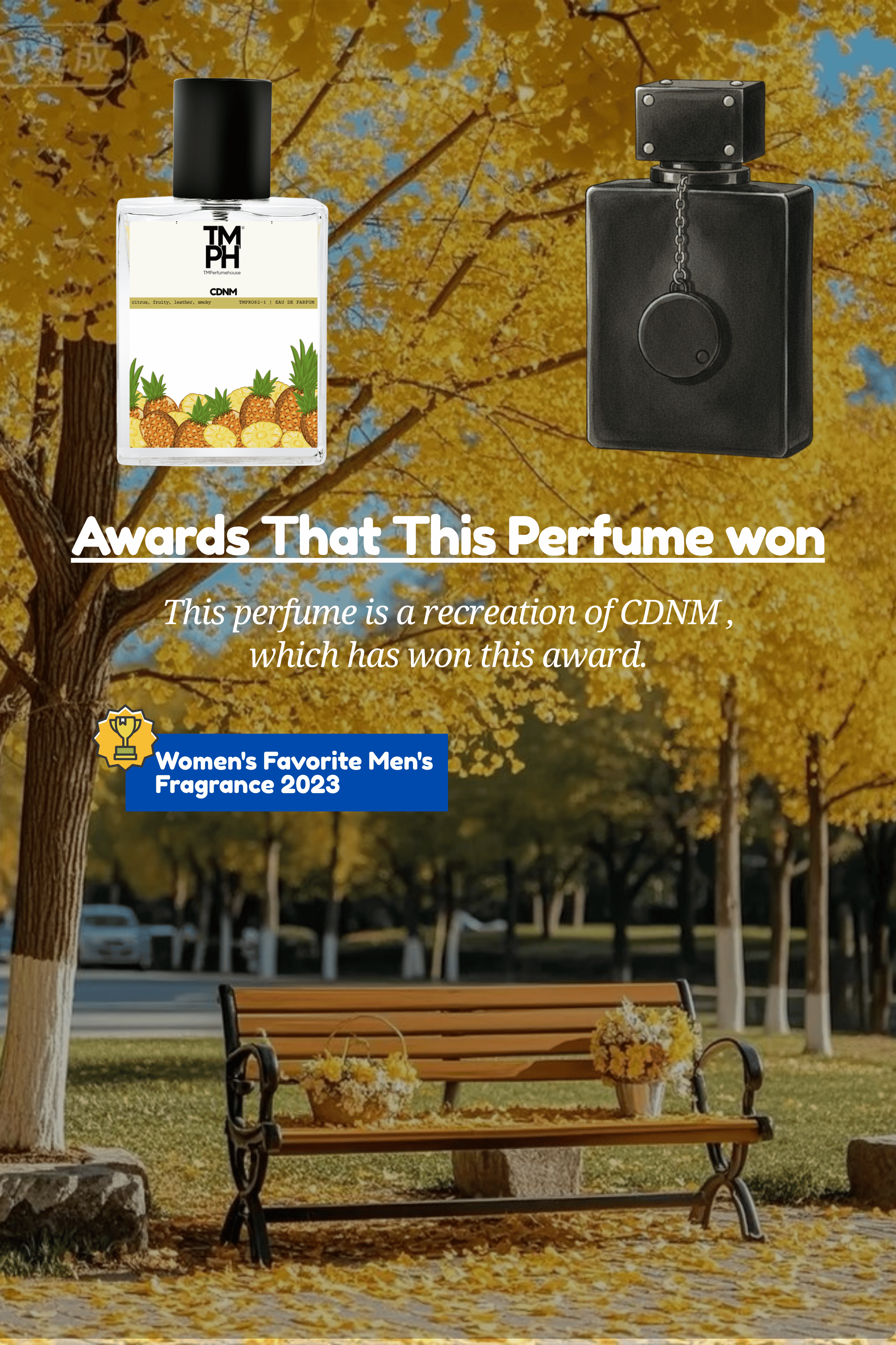 CDNM awards that wins