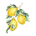 Citron