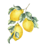 Citron