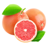 Grapefruit