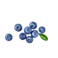 Juniper Berries